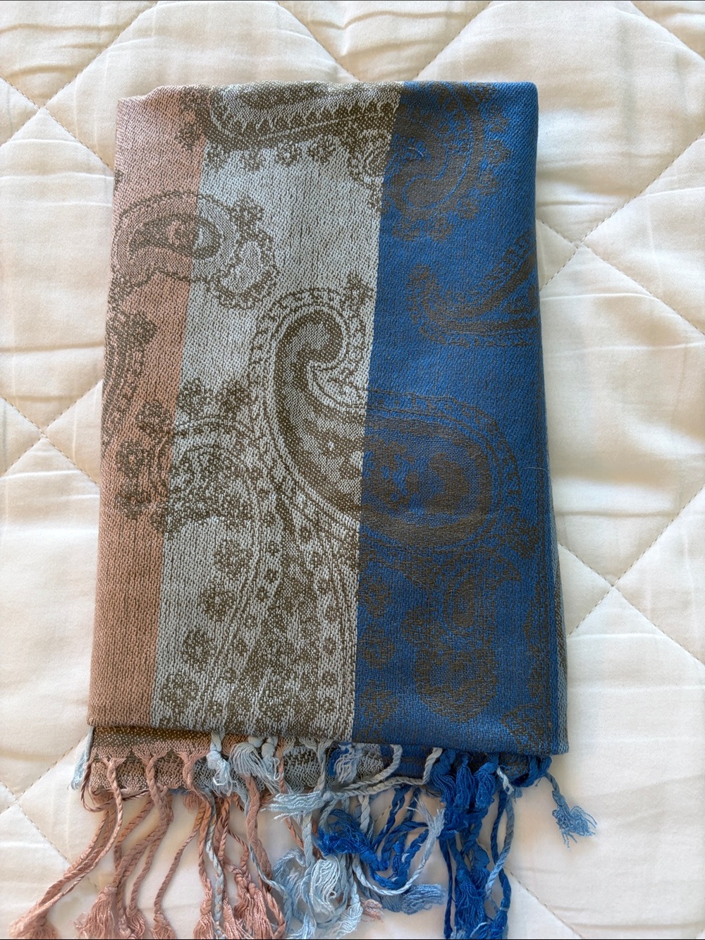 Cashmere Paisley Pattern Fringe Scarf in Blue, Gray & Taupe